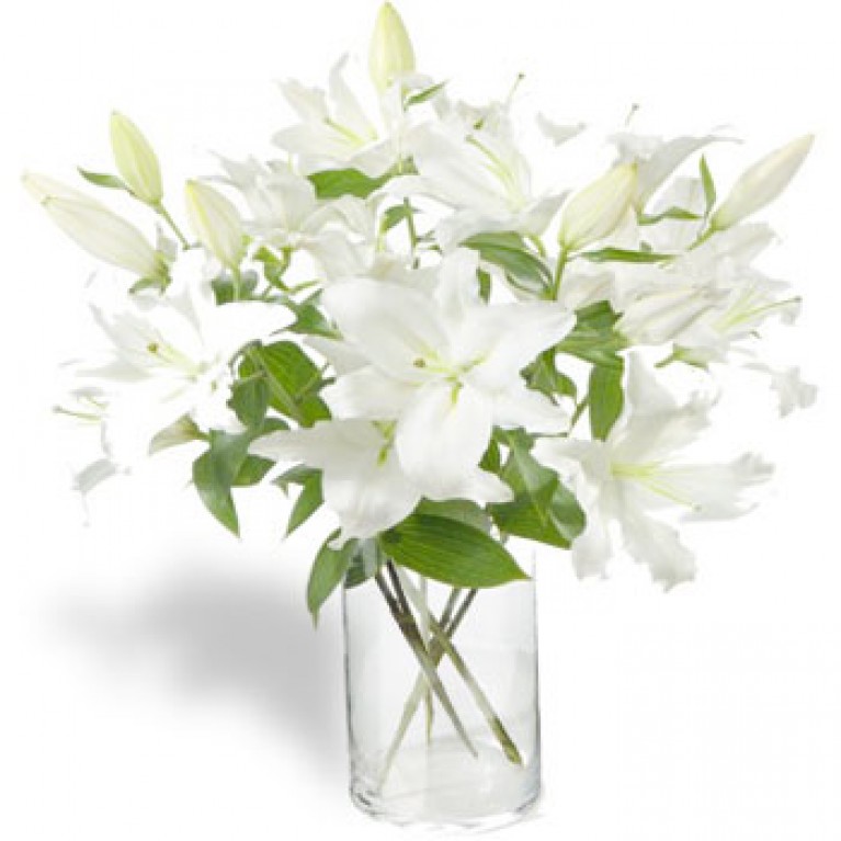 White Oriental Lillies in Vase