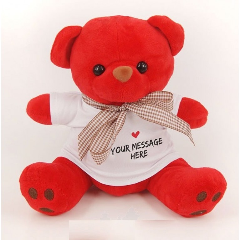 Teddy Bear Personalized Photo Message T-Shirt